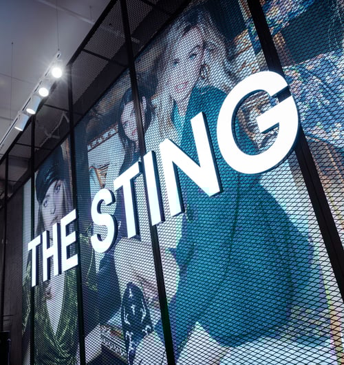 The Sting photo 1 The Sting photo 1